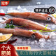 道樓鮮閣東山島大魷魚海捕整只冷凍鮮活魷魚火箭筒烏賊章魚火鍋燒烤食材 1斤（2-3條） 優(yōu)質(zhì)