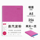 趁早2025薄本效率手冊軟抄本兩日一頁A5日計劃本日程本256頁高顏值辦公記事本筆記本子手賬-蒸汽波粉