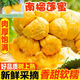 西雙版納榴蓮蜜新鮮當(dāng)季水果果肉整個非濕包菠蘿蜜包郵熱帶軟糯 1-2斤肉少大約兩顆肉