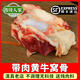西陵人家多肉牛窩骨新鮮牛膝蓋骨帶筋帶肉帶油花牛骨頭和尚骨熬湯紅燒拐骨 3斤 清真大個(gè)多肉黃牛窩骨