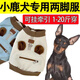 嬉皮狗小鹿犬狗狗專用秋冬季天兩腳衣服加絨博美比熊小型幼犬棉衣可牽引 藍色棉衣 XS背長20cm(建議1-2斤)