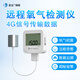 彭云氧氣濃度檢測儀S21A7工業(yè)O2傳感器遠(yuǎn)程高精度氧含量探測探頭 S21A7 0~25%vol