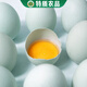 新地界新地界現撿苦蕎烏雞蛋散養生態(tài)蛋綠殼新鮮禮盒裝40枚/盒兒童老人 20枚