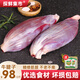 探鮮集市 寧夏黃牛肉 原切生鮮牛腱子牛腿肉草飼牛肉醬鹵煮燒烤食材清真 牛腱子2斤