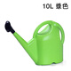 泰鵬加厚灑水壺澆花噴壺塑料澆水壺長(cháng)嘴花灑園藝澆菜澆花壺家用淋水壺 10L綠色