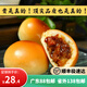 叉燒餐包粵食福蜜汁叉燒餡烘焙半成品高端點(diǎn)心茶樓點(diǎn)心款 粵食福叉燒餐包6個(gè)裝