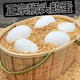 大號精品生鵝蛋獅頭鵝蛋農(nóng)家散養(yǎng)新鮮廣東正宗土鵝蛋特產(chǎn)孕婦 12枚