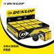鄧祿普（DUNLOP）壁球?qū)I(yè)訓(xùn)練比賽用球初學(xué)入門進(jìn)階賽用雙黃點(diǎn)單黃點(diǎn)紅點(diǎn)藍(lán)點(diǎn)壁球 12粒 雙黃點(diǎn) 專業(yè)級 700108