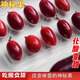 神秘果神奇果變味果酸變甜鮮果 蜜果新鮮稀奇古怪水果 稀有果紅色 果干4粒（送檸檬）