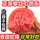 GANXIAN福建紅心軟芭樂(lè )（順豐/現摘）樹(shù)上熟軟糯冰淇淋口感番石榴雞屎果 5斤