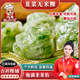 趣十八番潮汕特色小吃韭菜粿汕頭無米粿速食早餐冷凍面點(diǎn)半成品美食早點(diǎn)心 潮汕韭菜粿 240g*2包