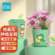 IAM City Farmer波斯菊格?；阅闩柙跃G植幼兒園兒童植物種植種子套裝作業(yè)10025