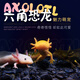 森悠（SARYOR）六角恐龍魚蠑螈活體淡水寵物冷水魚耐活家養(yǎng)非錦鯉水族爬行寵物魚 10-13厘米【1白+1黑+1黃】