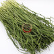 安迪優(yōu)美 2025年烘干小麥草兔子龍貓荷蘭豬牧草小麥苗干草兔糧 凈重500克 凈重袋裝500克