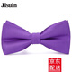 Jisuin 英倫蝴蝶結領(lǐng)結男 正裝結婚禮新郎領(lǐng)結男士商務(wù)聚會(huì )伴郎領(lǐng)結韓版潮 紫羅蘭