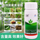 空消（KONGXIAO）花卉殺蟲(chóng)劑植物通用花草除蟲(chóng)劑月季蚜蟲(chóng)紅蜘蛛花藥殺蟲(chóng)水乳劑噴霧 植物花卉濃縮劑（收藏送噴壺）