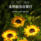 微光里 向日葵太陽(yáng)能庭院燈 戶外仿真假花園陽(yáng)臺(tái)草坪叢景觀裝飾小夜路燈 單頭向日葵一只