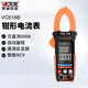 勝利儀器（VICTOR）鉗形電流表 萬用表鉗形表 鉗流表 電流鉗表家用 VC616B交直流600A