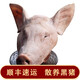 野蠻香 黑豬豬頭豬耳朵豬嘴豬頭肉帶骨 豬頭 無(wú)豬舌頭 黑豬肉豬頭