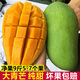 顏小葒越南大青芒果新鮮當(dāng)季現(xiàn)摘特大整箱青皮水果芒果源頭直發(fā) 8.5-9斤家庭裝（單果450g起）
