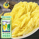 鳳鳴雅世四季小白菜籽娃娃菜種子大全農家種孑冬玲瓏579娃娃菜種子10克