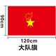和日升少先隊隊旗手持中國少年先鋒隊旗中隊旗手拿小學(xué)生少先隊員大隊中隊旗幟 大隊旗