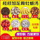 吾家余堂【倪海夏經(jīng)方】桂枝加龍骨牡蠣湯桂枝白芍甘草生姜片大棗龍骨牡蠣 桂枝龍骨牡蠣湯21副【一個療程】