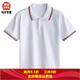 中小學(xué)生校服內搭短袖T恤夏季休閑高中生白色上衣polo衫高中班服 白色白領(lǐng)紅黑邊 180