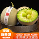 鯨咚億農(nóng) 海南玫瓏蜜瓜網(wǎng)紋瓜冰淇淋甜蜜瓜新鮮水果哈密甜香瓜年貨整箱 5斤玫瓏蜜瓜【2-3個(gè)裝】