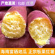 京營(yíng)(精品)海南澄邁沙地橋頭富硒地瓜紅薯10板栗味番薯栗子味山芋按斤 橋頭地瓜10斤（精品裝）