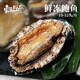 東上御品 山東 新鮮熟凍國產(chǎn)大鮑魚凈重430g（10-12頭/斤）*2袋-源頭直發(fā)
