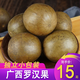 伊梵麥40個羅漢果中級廣西桂林永福特產大果泡茶花茶干果仁茶 大果20個(53-56mm)