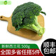 綠食者 新鮮西蘭花500g 脆嫩青花菜綠花菜西藍(lán)花椰菜 時(shí)令蔬菜