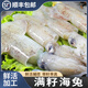 新鮮海兔子滿籽鮮活筆管魚大墨魚仔八爪魚整箱小魷魚烏賊海鮮水產(chǎn) 新鮮筆管魚4斤