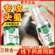 倍瑞朗云南本草虱立凈 兒童頭虱去頭發(fā)除虱卵陰虱男女私處百部酊殺跳蚤 祛虱噴劑2瓶【贈篦子+浴帽】