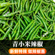 青小米辣椒新鮮小米椒朝天指天椒特辣超辣辣椒 3斤