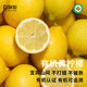 有機檸檬水果黃檸檬新鮮配送農場(chǎng)直發(fā)榨汁水果不打蠟產(chǎn)地直銷(xiāo) 2500g有機黃檸檬丑果（四川農場(chǎng)-今年新果）