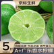優(yōu)味集廣東香水檸檬5斤新鮮水果奶茶店專用香水果新鮮3/2/1斤無籽青檸檬 【新鮮嘗鮮】凈重500g