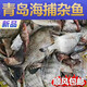 海魚雜魚包銀鯧魚紅頭魚海鯰魚鲅魚深海魚海鮮水產(chǎn) 海雜魚 3.6斤