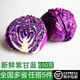 綠食者 紫甘藍(lán)約650g 紫包菜球紫色紅椰生菜 西餐沙拉蔬菜輕食健身食材