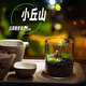 丘辰生命之樹(shù)苔蘚微景觀(guān)生態(tài)瓶diy辦公桌面綠植擺件造景花卉盆栽禮物 小丘山 微景觀(guān)