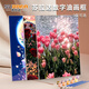 蘇拉達(dá)(Surada)數(shù)字油畫(huà) 數(shù)字油畫(huà)diy兒童手工初學(xué)美術(shù)繪畫(huà)套裝中國(guó)風(fēng)風(fēng)景畫(huà)創(chuàng)意油彩畫(huà) 40*30cm郁金香TX005 速寫 馬克筆繪畫(huà)