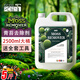 GOOD POINT青苔清除劑 地面苔蘚水管藻類去除劑 水泥墻面瓷磚瓦清洗劑滅藻劑