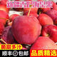 順豐新疆香妃海棠果阿克蘇雞心小蘋(píng)果脆甜水果新鮮當季整箱2025M5 1斤