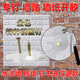 凡世紅家用墻貼墻紙特種鋼圖釘水泥墻磚墻窗紗門(mén)簾廣告布kt板固定神器 金色鋼釘升級款【50個(gè)】