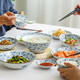 陶趣居 日本進(jìn)口小藍(lán)芽陶瓷米飯碗湯碗泡面碗復(fù)古碗日式家用餐具釉下彩 16件套裝【禮盒】