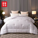 簡(jiǎn)單生活優(yōu)雅提花抗菌羽絲絨冬被3097被子秋冬 優(yōu)雅提花抗菌羽絲絨冬被（3097） 200x230cm(4.0kg)