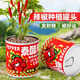 小花農(nóng)泰酷辣兒童種植小盆栽辣椒種籽植物罐頭小花農(nóng)迷你蔬菜辦公室綠植 泰酷辣-辣椒種植罐頭1罐