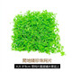 森淵（SENYUAN）前景草魚(yú)缸草坪爬地矮珍珠趴地矮珍珠爬地珍珠魚(yú)缸造景水草 爬地矮珍珠8cm網(wǎng)片