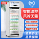 醫(yī)然400L立式藥品陰涼柜2-8℃轉(zhuǎn)換8-20℃溫濕雙顯醫(yī)藥醫(yī)療機(jī)構(gòu)疫苗試劑保鮮冷藏柜現(xiàn)貨直發(fā) 尊享款 YR/FL400 冷藏箱2-8℃